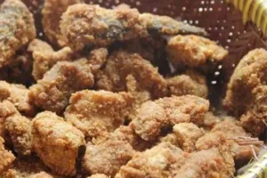 olahan ikan khas pacitan