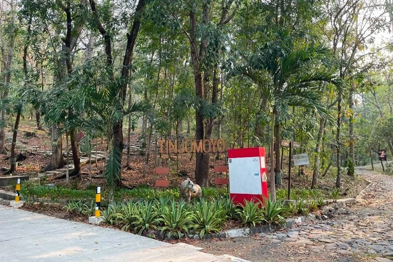 Hutan Wisata Tinjomoyo