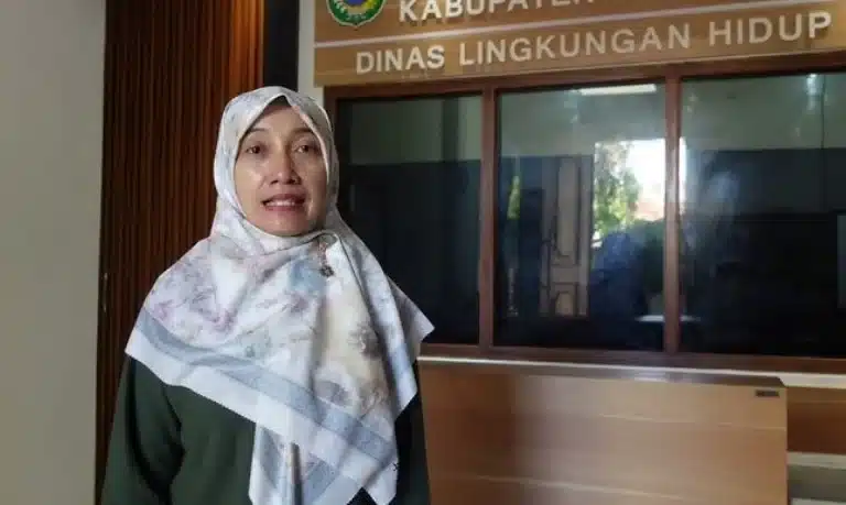 Cicik Roudlotul Jannah