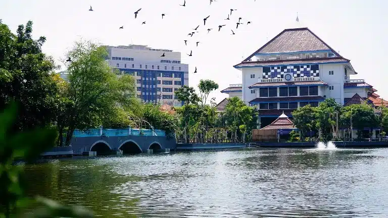 jaringan riset internasional